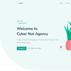 Cyber Nut Agency
