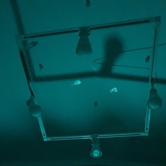 ваня ск8