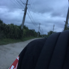 Rewival