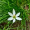 Lildil