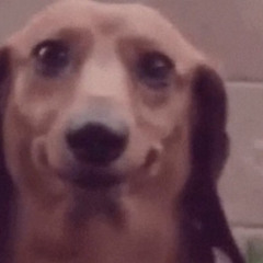 r l