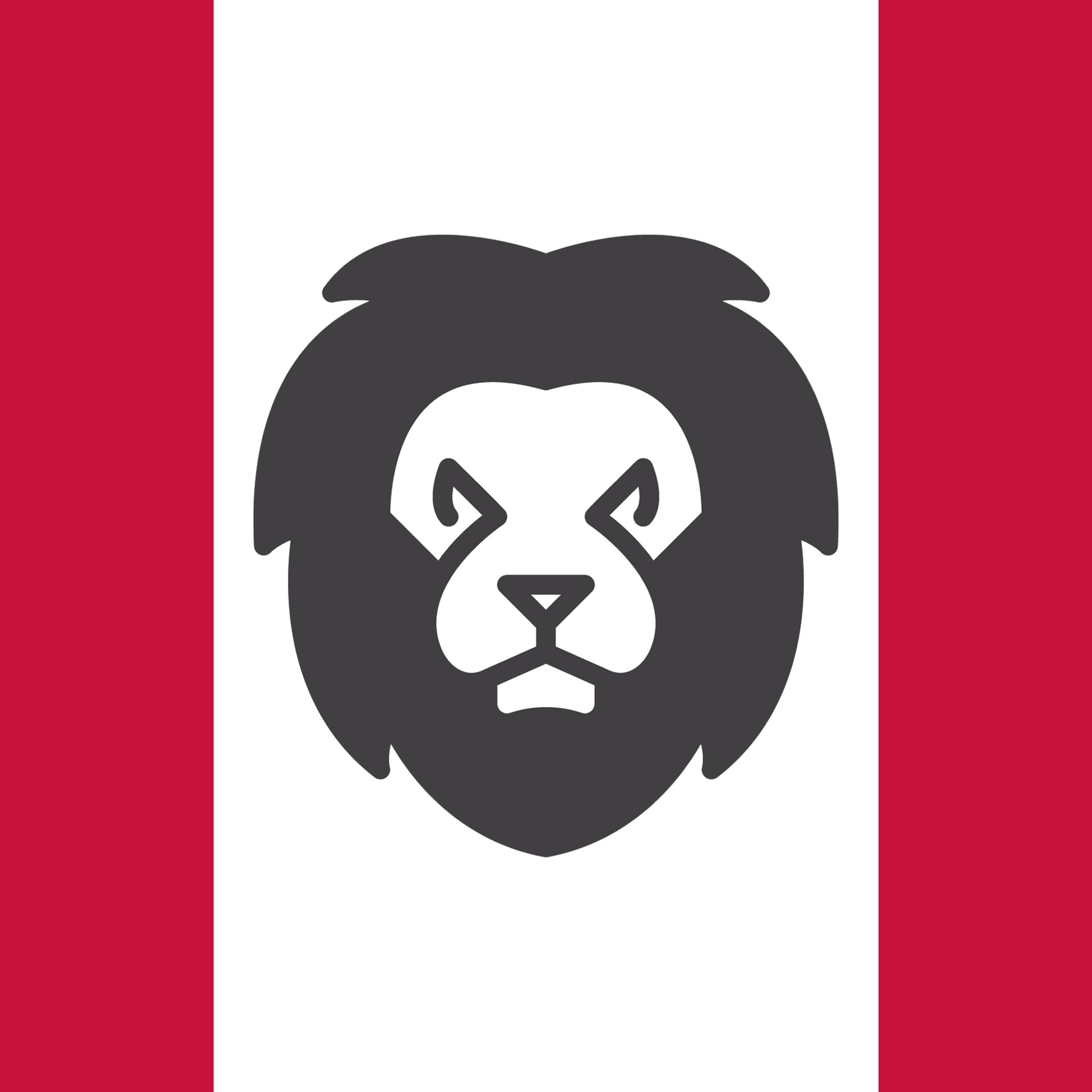 Man in the Lion Mask