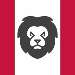 Man in the Lion Mask