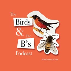 The Birds & The B's Pod