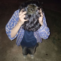 Lil ashil