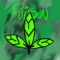POISON IVY