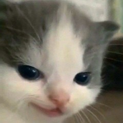 _