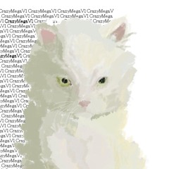 CrazyMegaV1