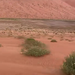 غدير صويلح المنهالي🎼