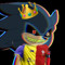 SONIC FANNN1st