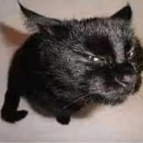 world harp [scada flip]