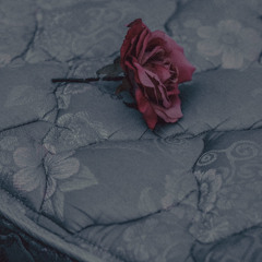 BLAISE & David Ross Lawn