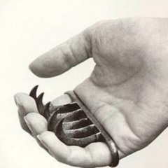 سوآد