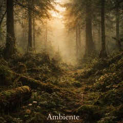 Ambiente