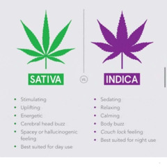 🔰Jordan Lee Cumming🔰