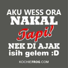 XNP