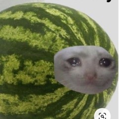 Watermelonely