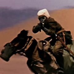 Blue Mountain Howler