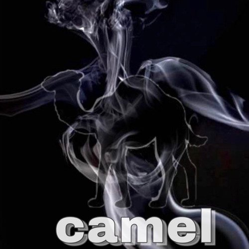 CAMEL’s avatar
