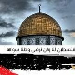 عبدالرحمن عبدالحميد
