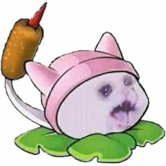 pablo T-T