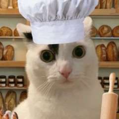 🥖•°baguette cat°•🥖