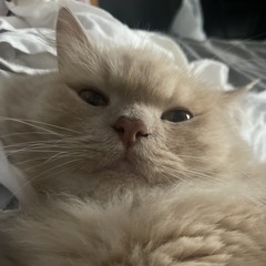 Abdullah