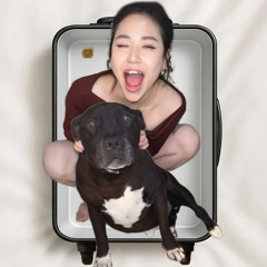Danny Vu