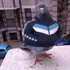 DüdüklüTencerePatlaması