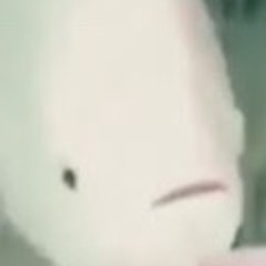 Feesh