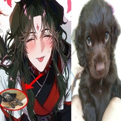 binghe is bingpup and bingseal