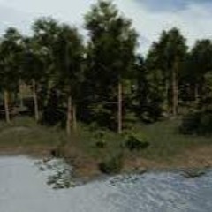needadraco