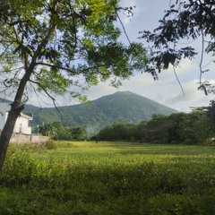 simoy ng hangin sa bundok