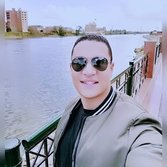 Mostafa Elbardisy