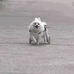보아의 부탁
