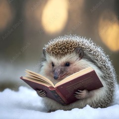 lecture
