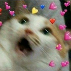 > 𝑩𝒓𝒐𝒘𝒊𝒏𝒆🧚🏻