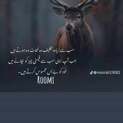 Waqas Mughal