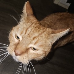 Benito