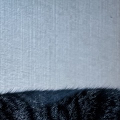 niz