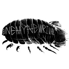 ENEMYNEWRIVAL