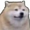 overdahedge2014