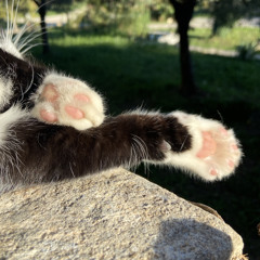 Liloa
