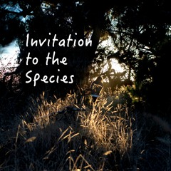 Invitation to the Species