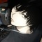 Toshi