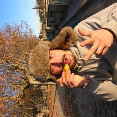 felixmonosabio