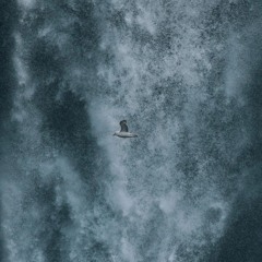 Bryson Storm