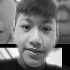 Ngo Hieu