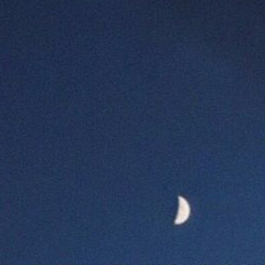 somewhereonthemoon