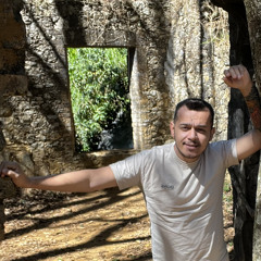 Fabiano R Guimarães